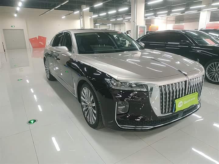Фото 4 - Hongqi H9