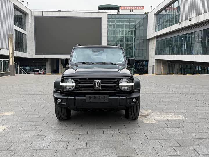 Фото 3 - Tank 300