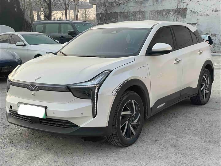 Фото 1 - Hozon U