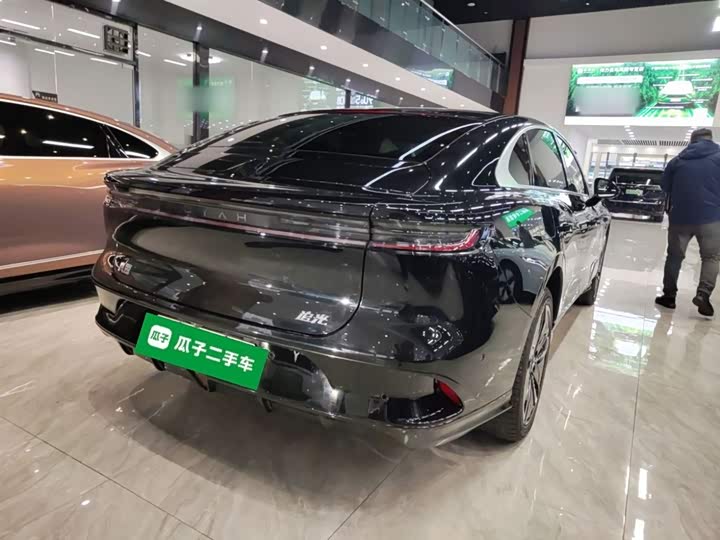 Фото 7 - Voyah Passion