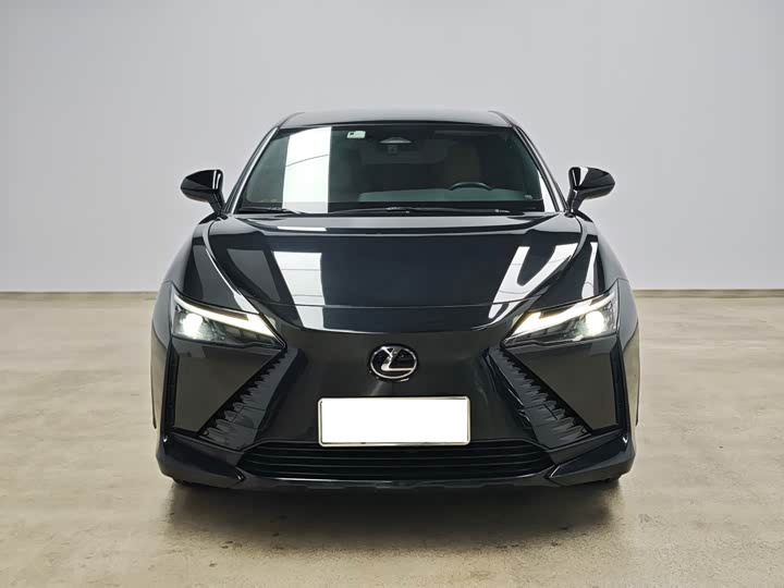 Фото 2 - Lexus RZ