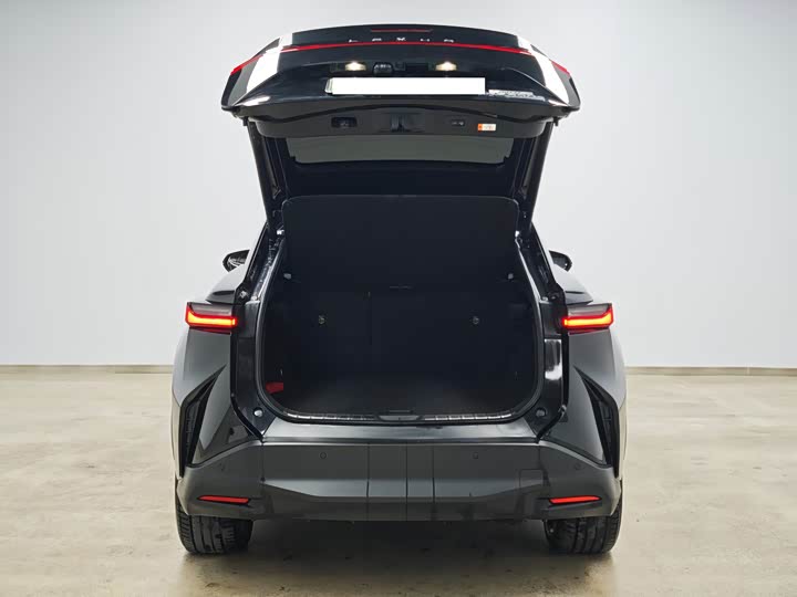 Фото 6 - Lexus RZ