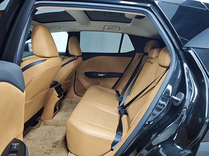 Фото 8 - Lexus RZ