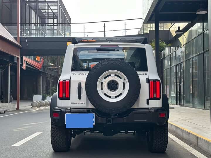 Фото 6 - Tank 300