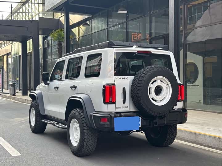 Фото 8 - Tank 300