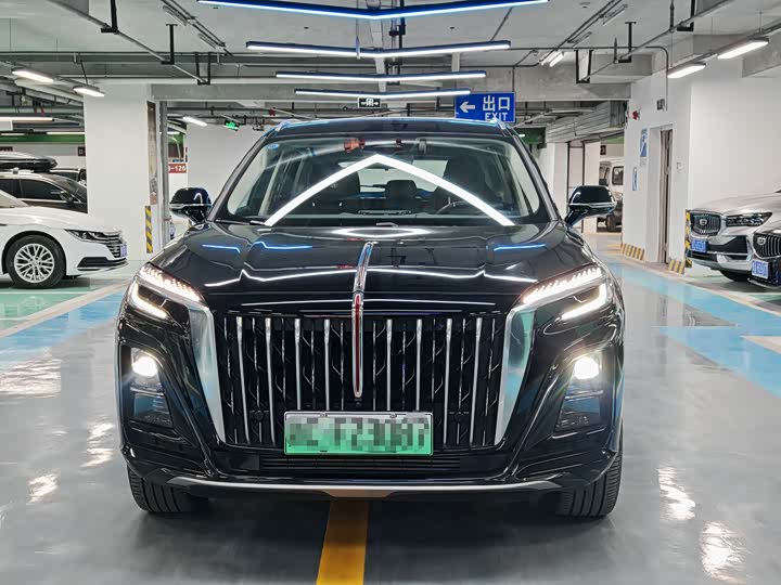 Фото 2 - Hongqi HS3 Hybrid