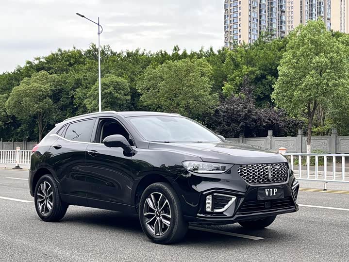 Фото 3 - Wey VV5