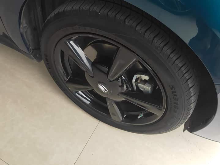 Фото 6 - Ora Good Cat (03)