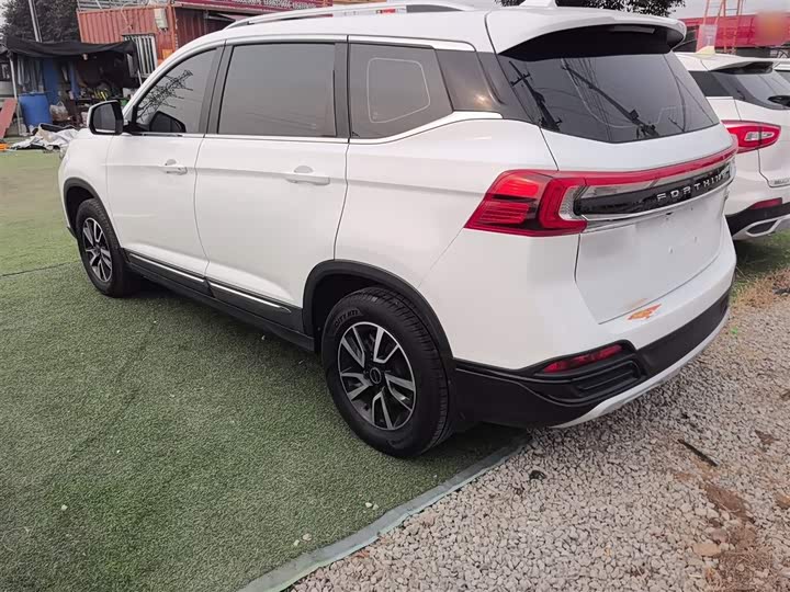 Фото 5 - Dongfeng Forthing T5