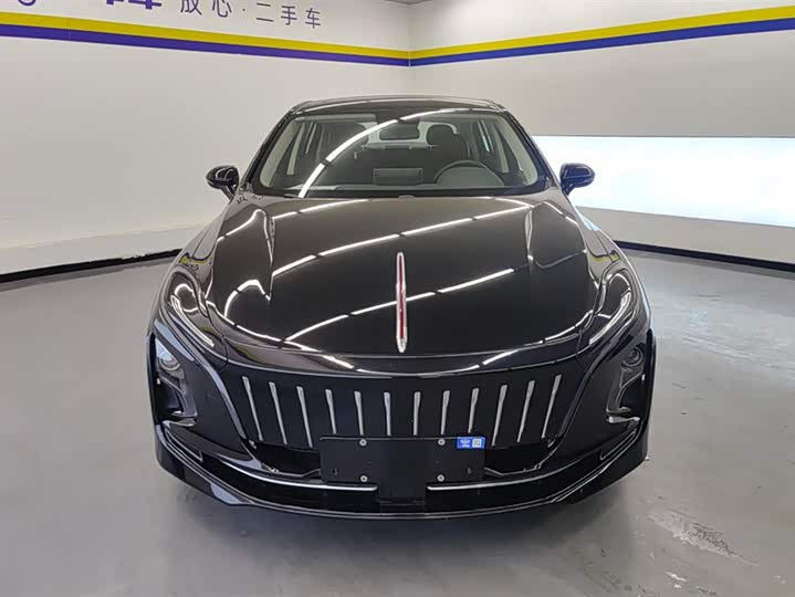 Фото 2 - Hongqi E-QM5