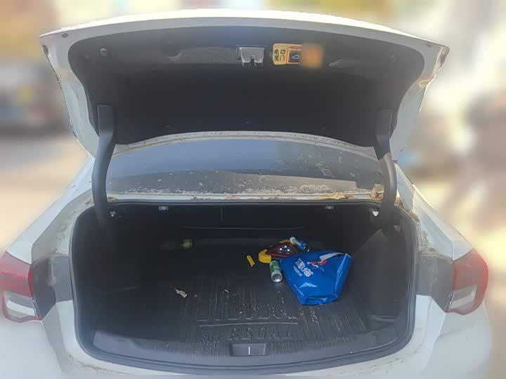 Фото 9 - Buick Regal