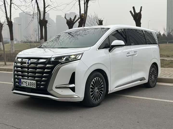 Фото 1 - Denza D9