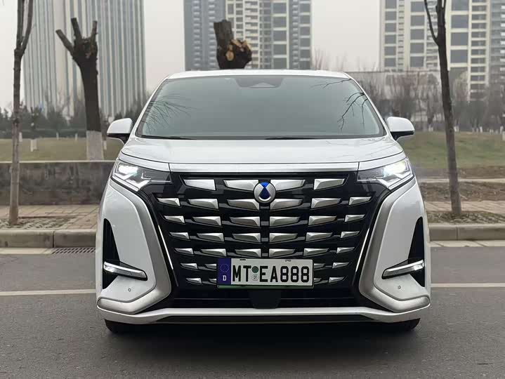 Фото 2 - Denza D9