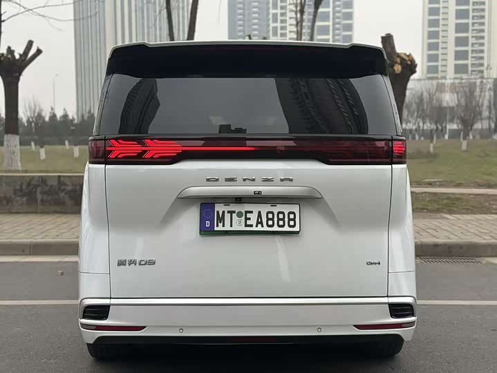 Фото 8 - Denza D9