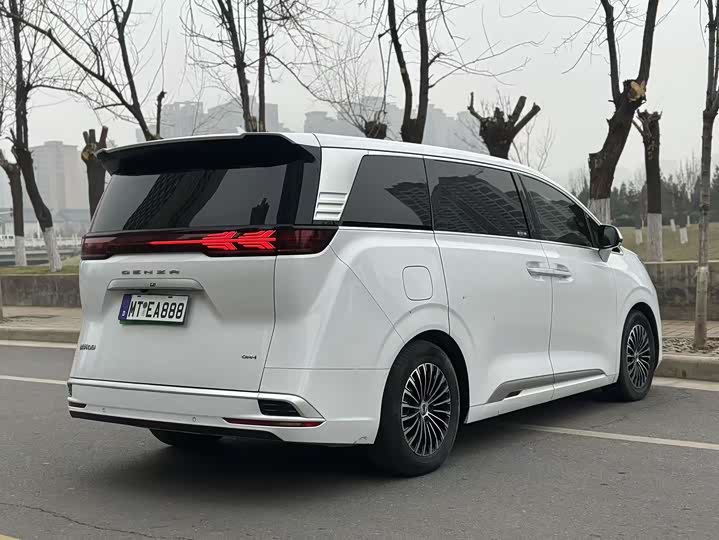 Фото 9 - Denza D9