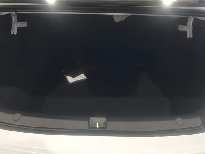 Фото 4 - BYD Qin Plus