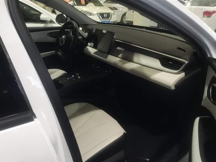 Фото 8 - BYD Qin Plus