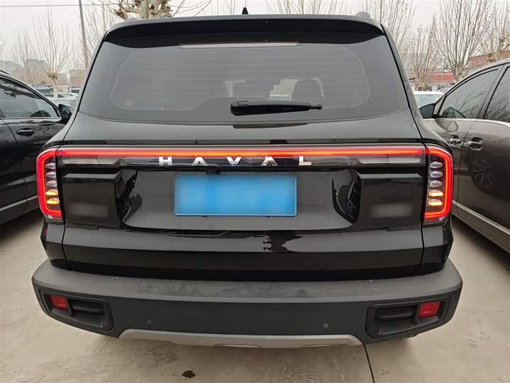 Фото 6 - Haval Dargo