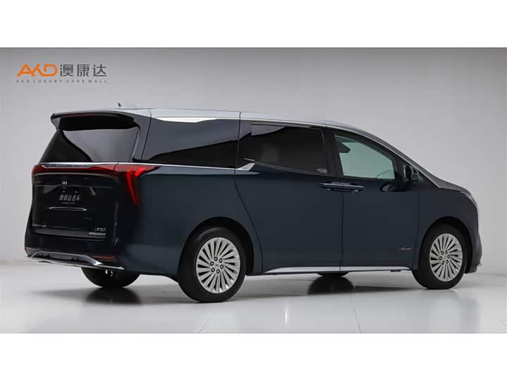 Фото 3 - Buick GL8 Century