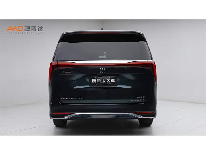 Фото 4 - Buick GL8 Century