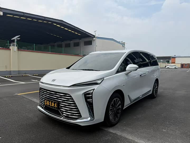 Фото 3 - Buick GL8 ES