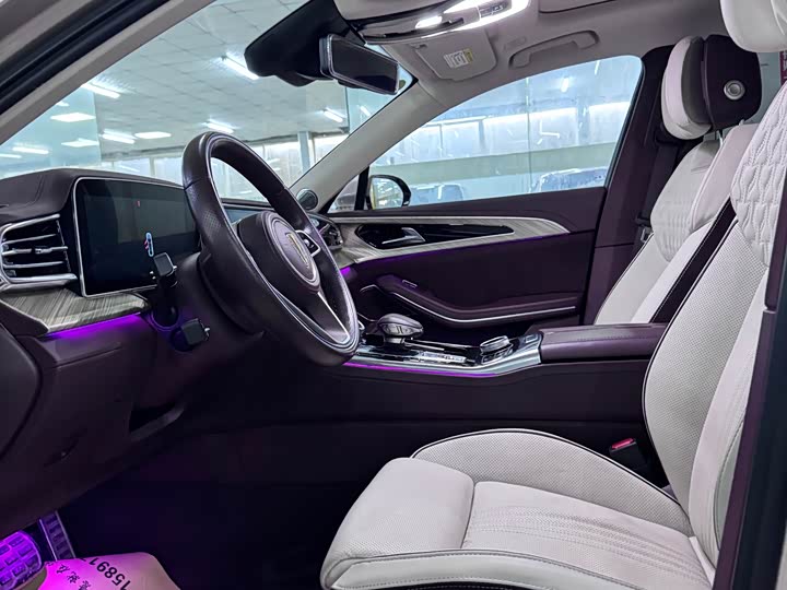 Фото 5 - Hongqi H9