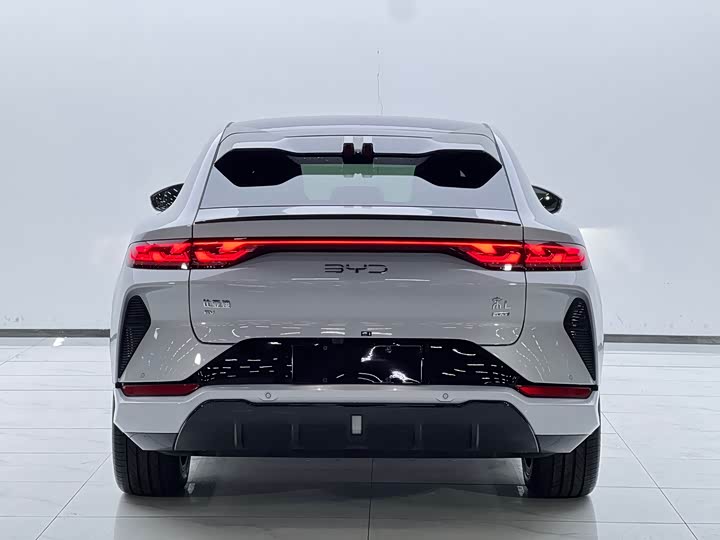 Фото 4 - BYD Song L