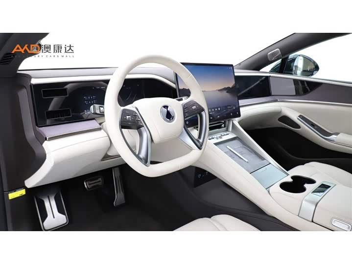 Фото 6 - Denza Z9