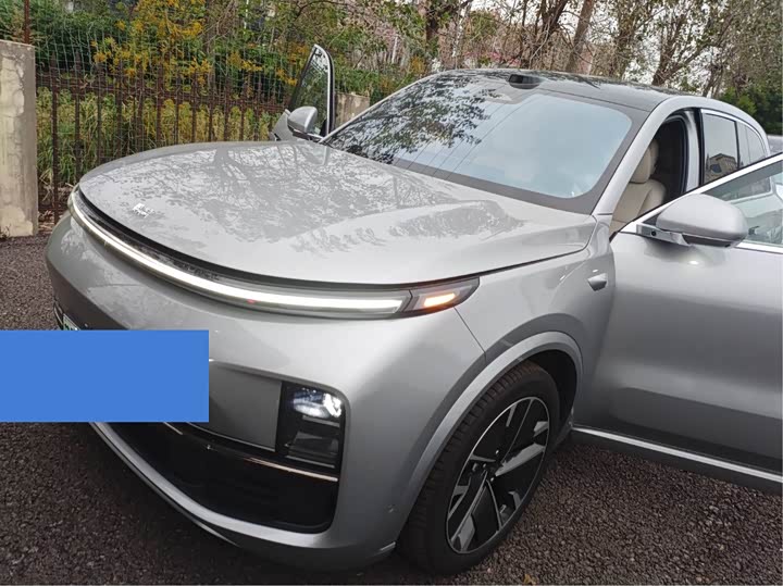 Фото 1 - LiXiang L8