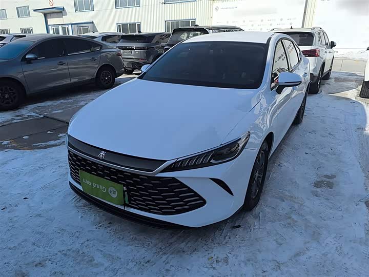 Фото 2 - BYD Qin Plus