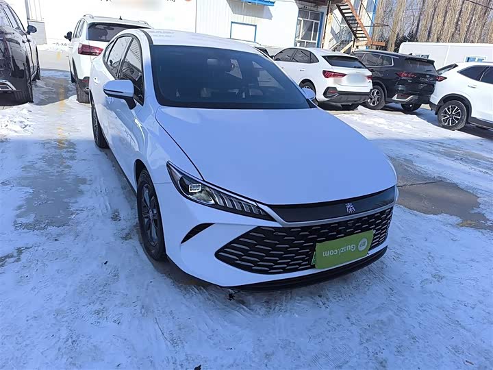 Фото 4 - BYD Qin Plus