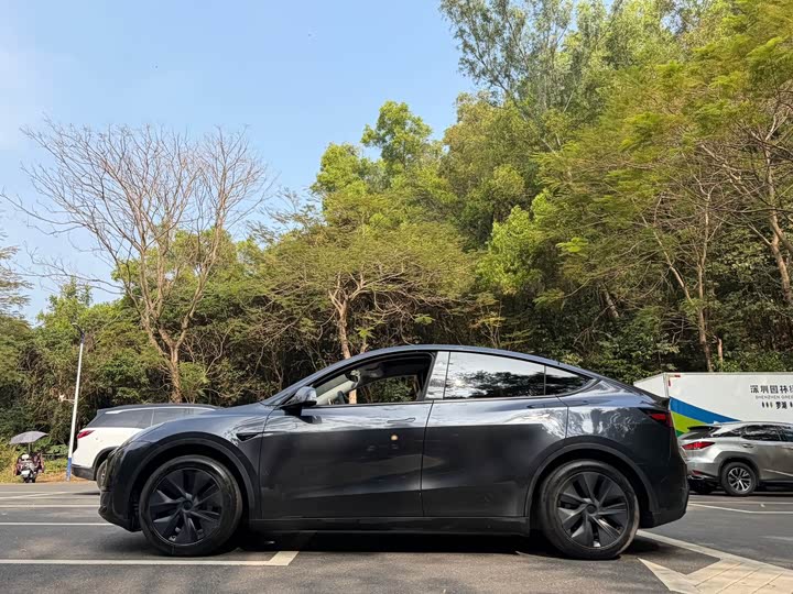 Фото 2 - Tesla Model Y