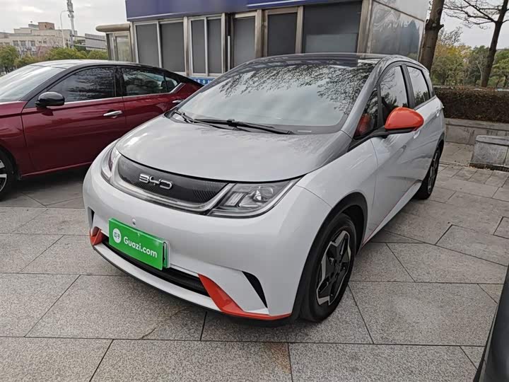 Фото 1 - BYD Dolphin