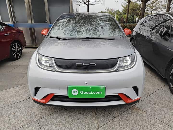 Фото 3 - BYD Dolphin