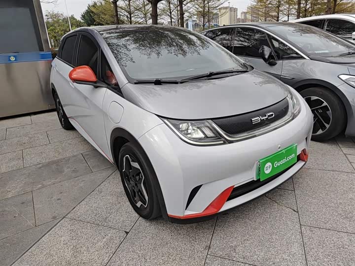 Фото 4 - BYD Dolphin