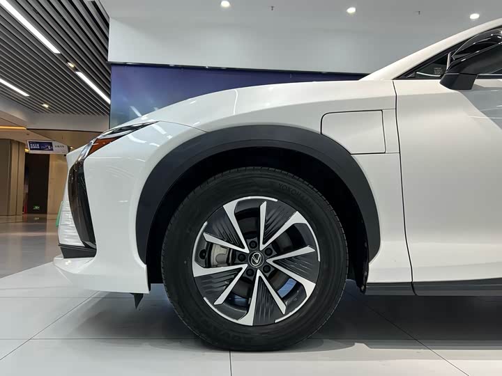 Фото 4 - Lexus RZ