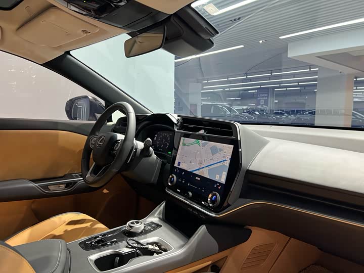 Фото 9 - Lexus RZ