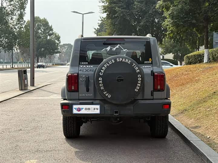 Фото 5 - Tank 300