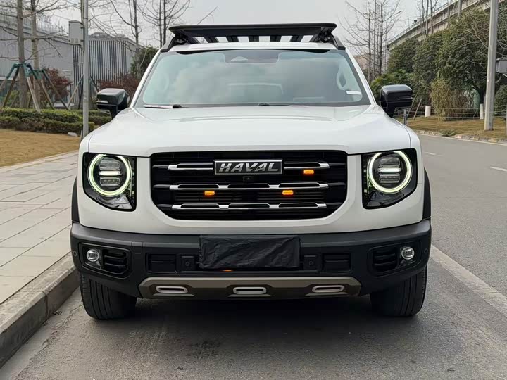 Фото 2 - Haval Dargo