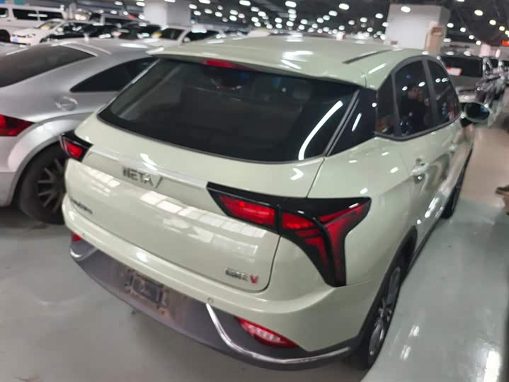 Фото 3 - Hozon V