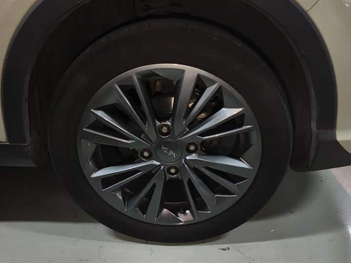 Фото 6 - Hozon V