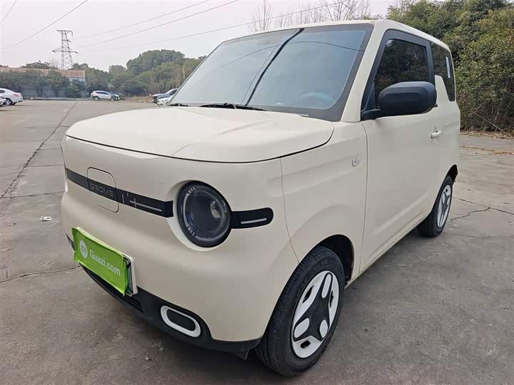 Фото 2 - Geely Galaxy Panda Mini