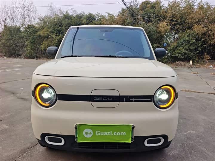 Фото 3 - Geely Galaxy Panda Mini