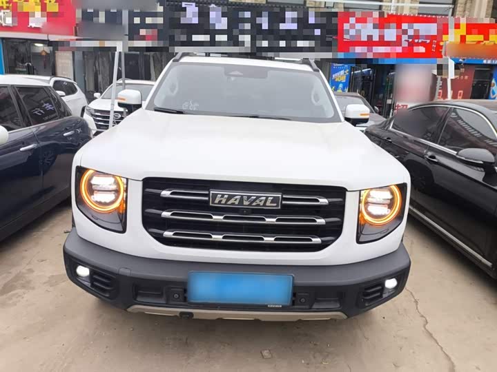 Фото 3 - Haval Dargo