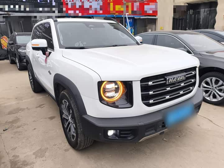 Фото 4 - Haval Dargo