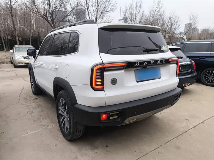 Фото 5 - Haval Dargo