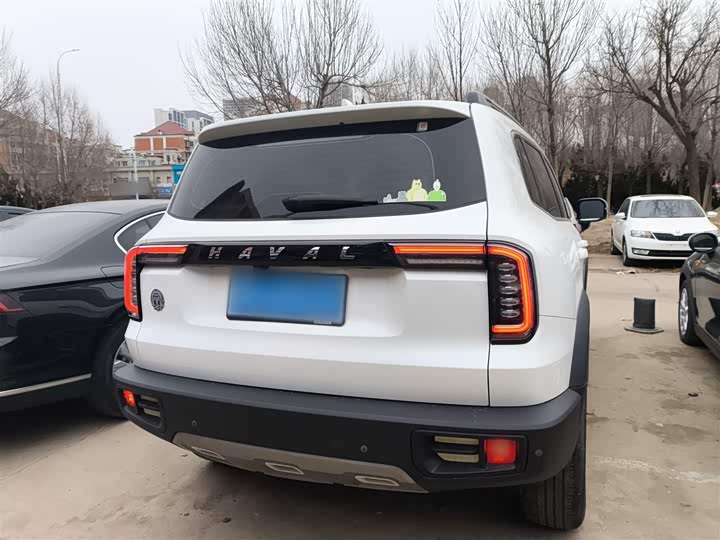 Фото 6 - Haval Dargo