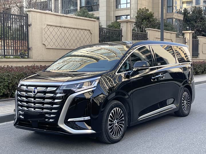 Фото 1 - Denza D9