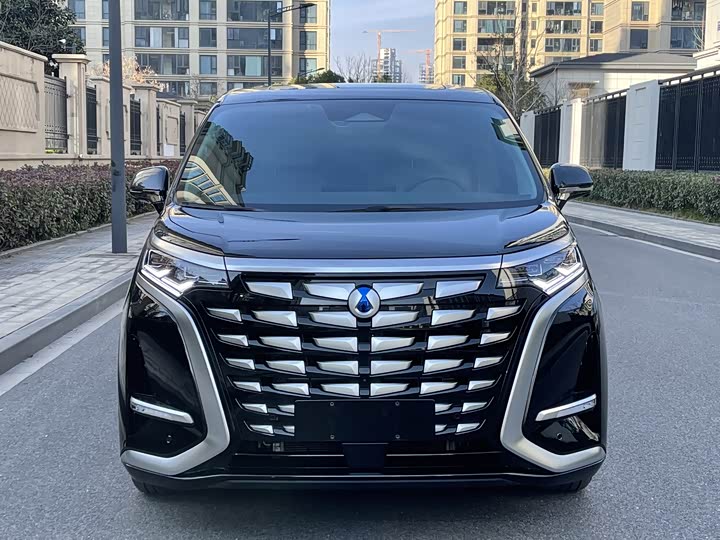 Фото 2 - Denza D9