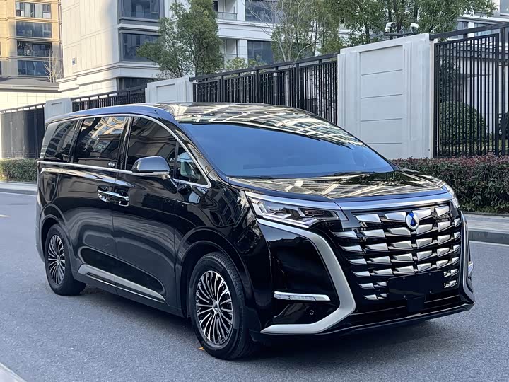 Фото 3 - Denza D9